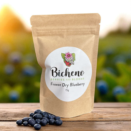 Close-up of Tasmanian freeze dried blueberries showing natural shape and vibrant purple colour