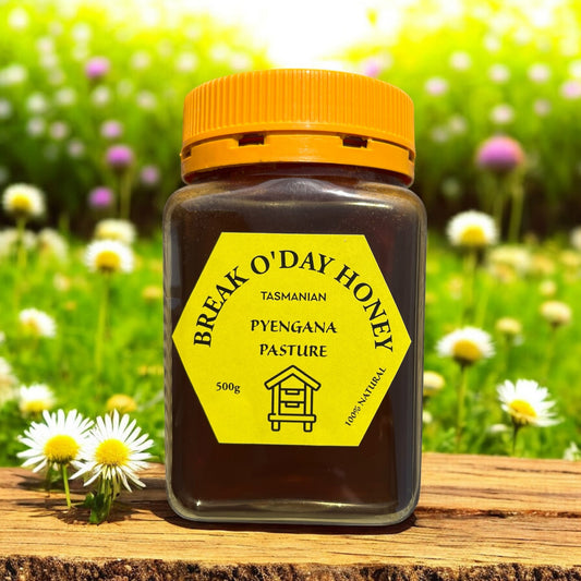 Pyengana Pasture Honey jar showing premium light-golden Tasmanian honey with Break O'Day Honey branding