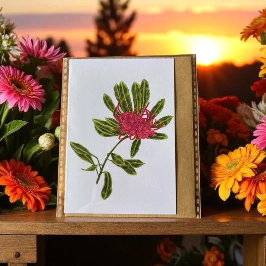 Tasmanian illustrated gift cards by Seeds to Memories.