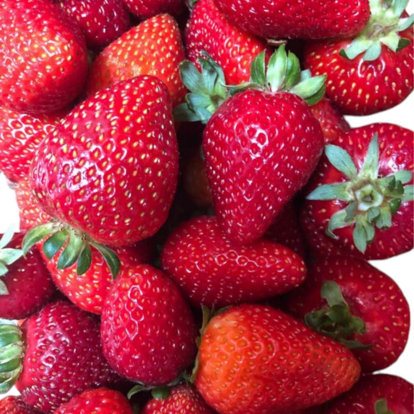 Fresh Tasmanian strawberries used in making premium Crushed Strawberry Conserve showing quality ingredients