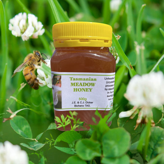 Tasmanian Meadow Honey. Clover Honey. Local Honey Tasmania