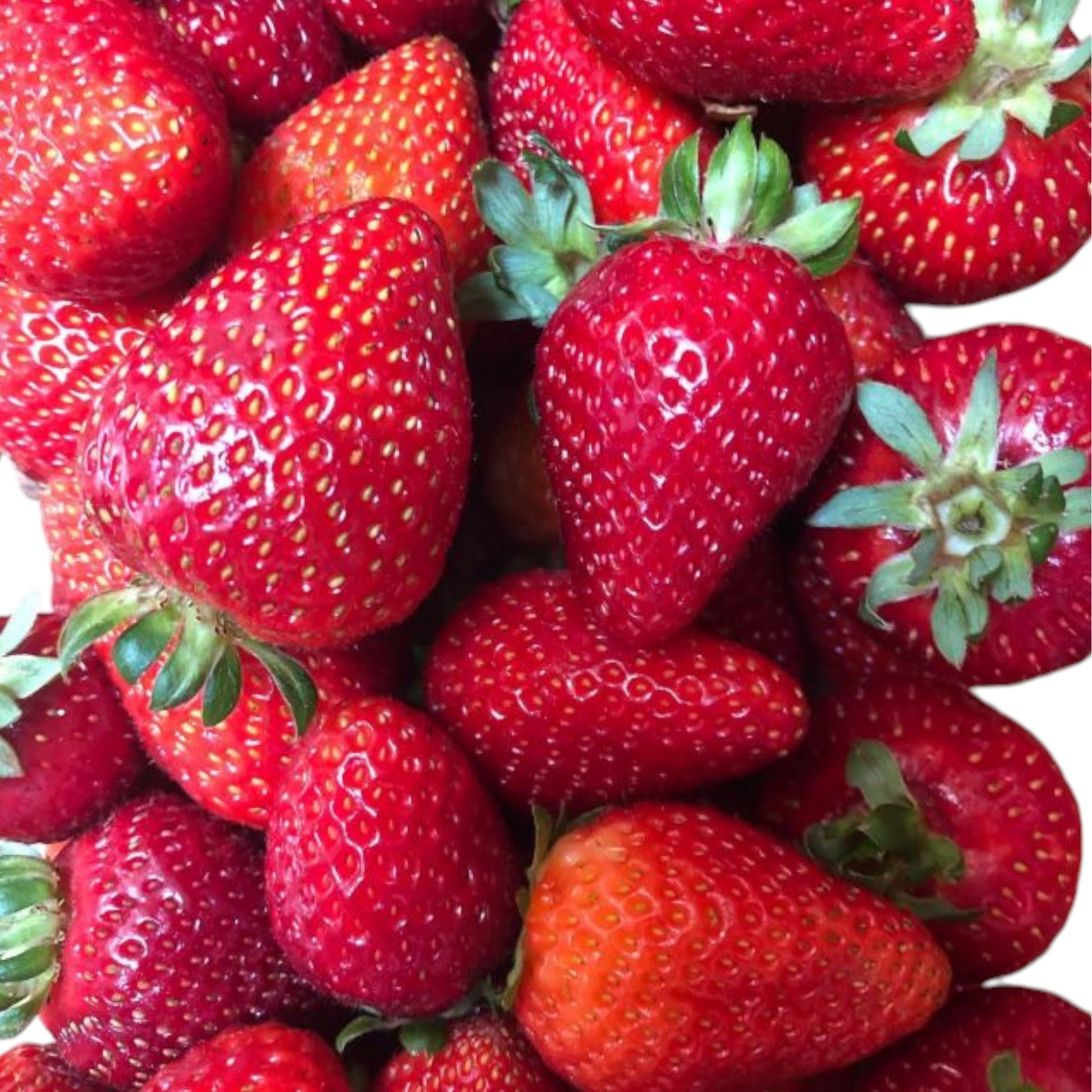 Tasmanian Strawberries